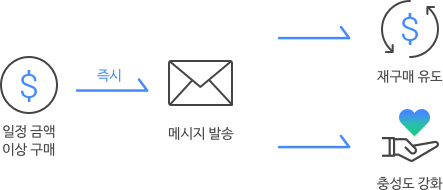 일정금액 이상 구매, 메시지 발송, 재구매 유도 및 충성도 강화